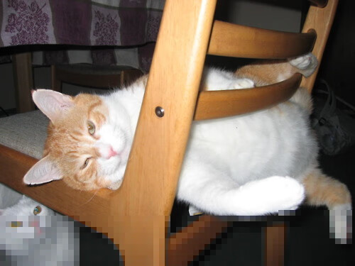 史上最震撼的单圈纪录，单圈最好成绩