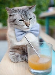 国内外篮球名将助阵中国青少年篮球培训交流,2019全国青少年篮球特色学校