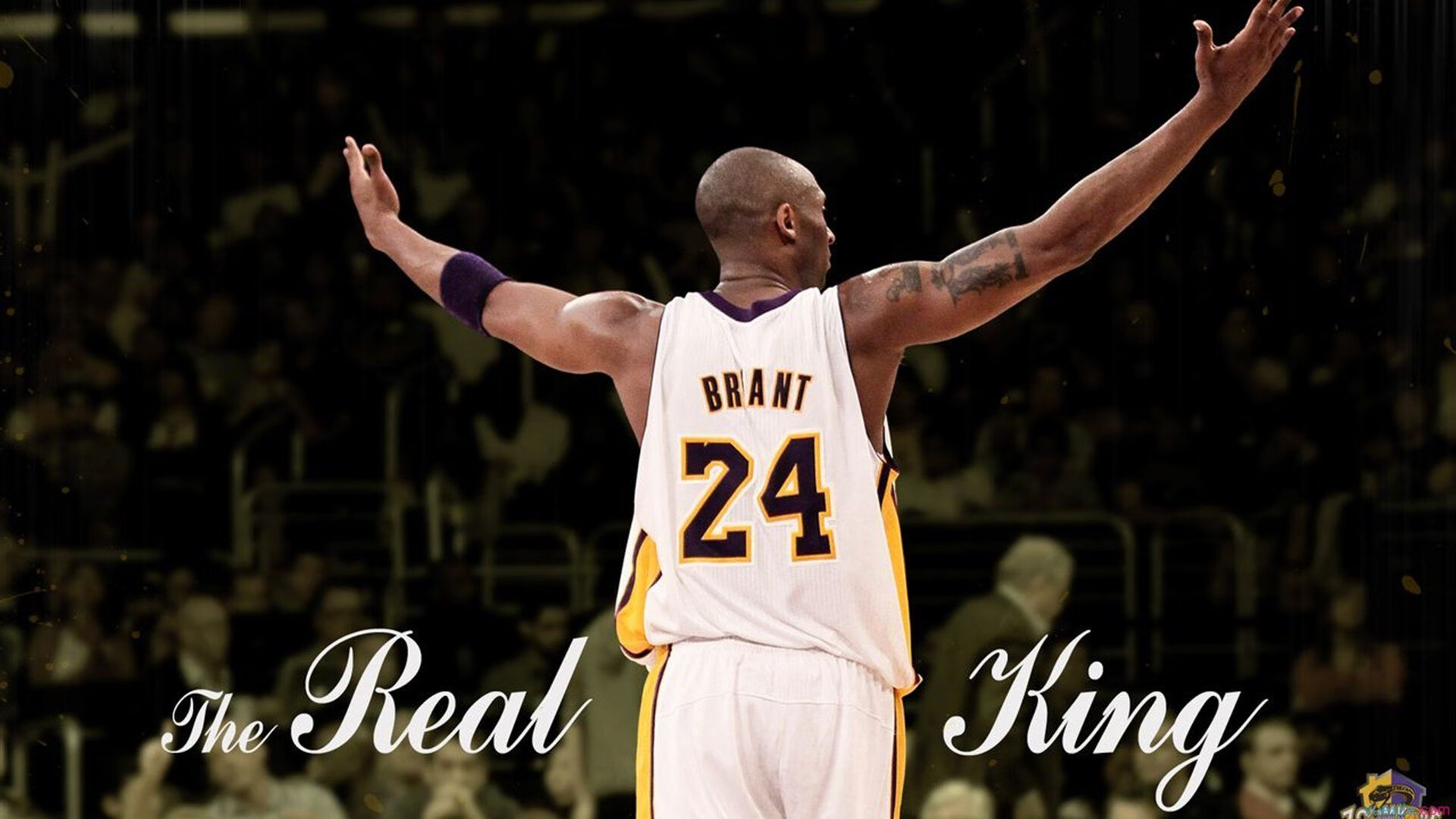 Kaiyun(中国)开云-中国篮球文化展推广经典赛事丰富城市文化积淀，篮球文化产业